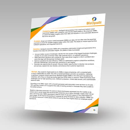BizOPs AI Executive Summary-img